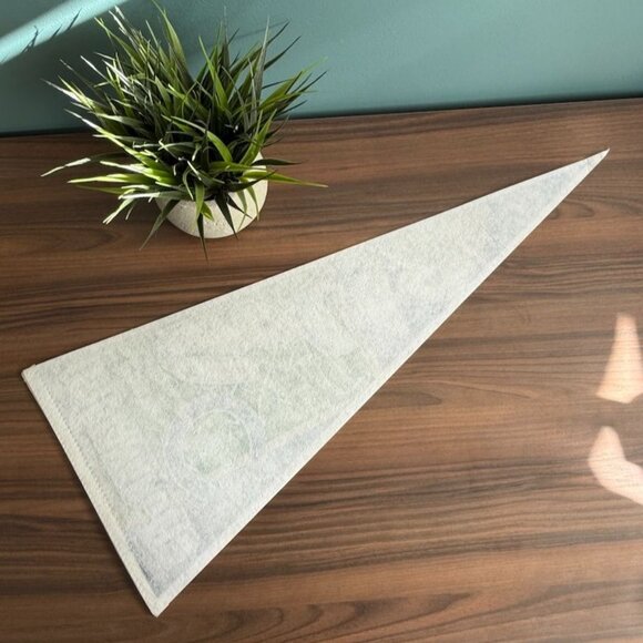 Vintage 1996 Indianapolis Colts Felt Pennant NFLP Tag Express - Picture 10 of 15